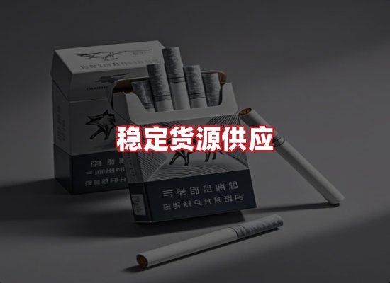 专业团队